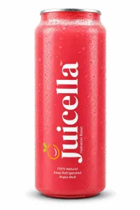 Berry Velvet Smoothie – Image 1