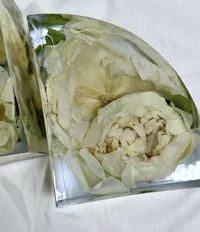 Buchstützen – Image 2