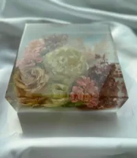 Quadrat – Image 4