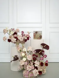 Quadrat – Image 3