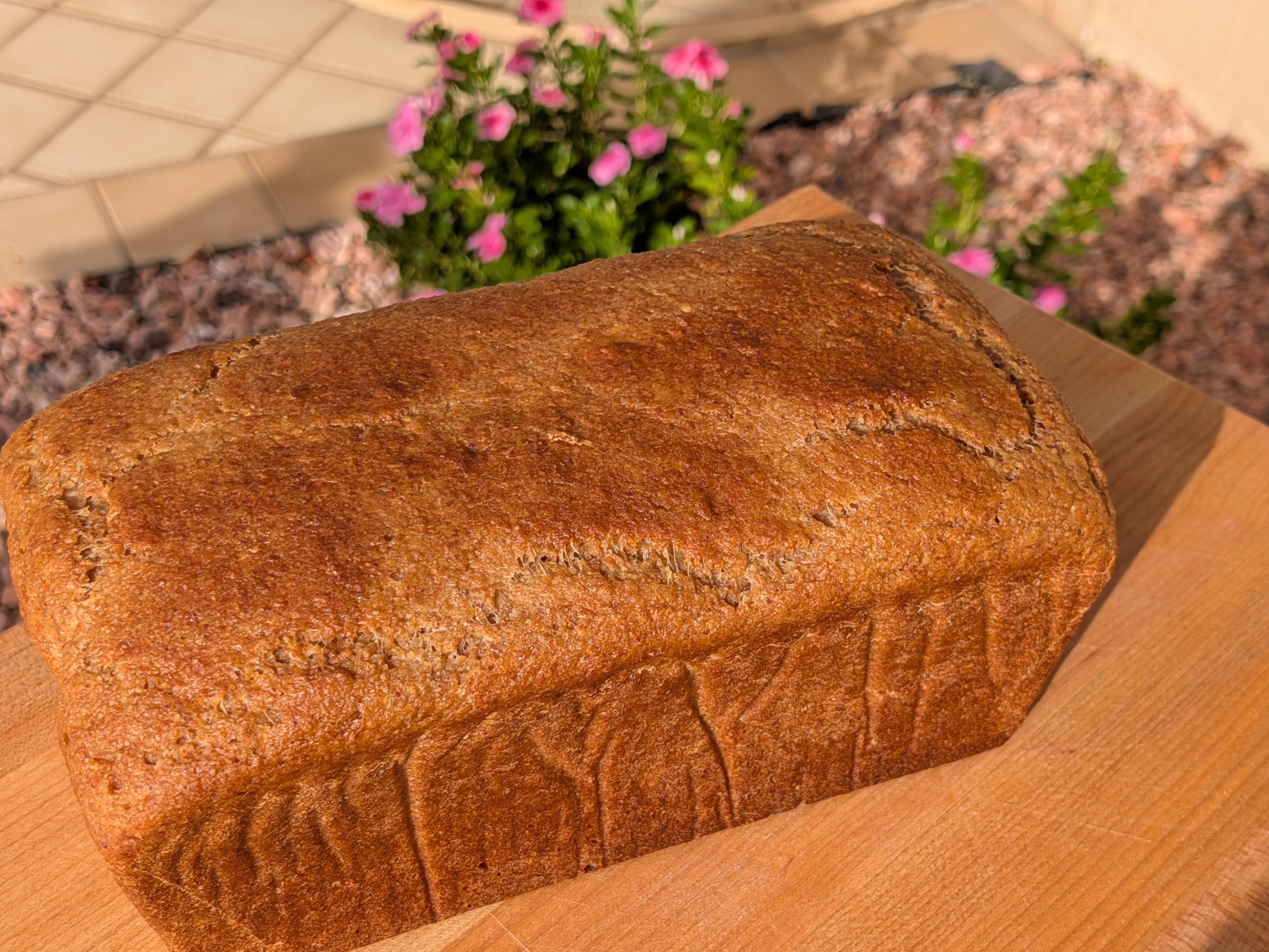 Ezekiel Bread – Image 2