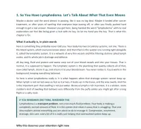 You Have Lymphedema, Now What? – Image 5