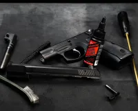 Gun Lube: Firearm Lubrication and Maintenance Simplified – Image 5