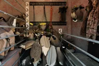 BOSS Decoy Bar Mounts – Image 6