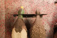 Spinning Wing Decoy Station – Image 3