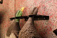 Spinning Wing Decoy Station – Image 2