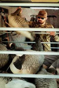 BOSS Decoy Bar Mounts – Image 1