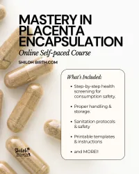Mastery in Placenta Encapsulation – Image 2
