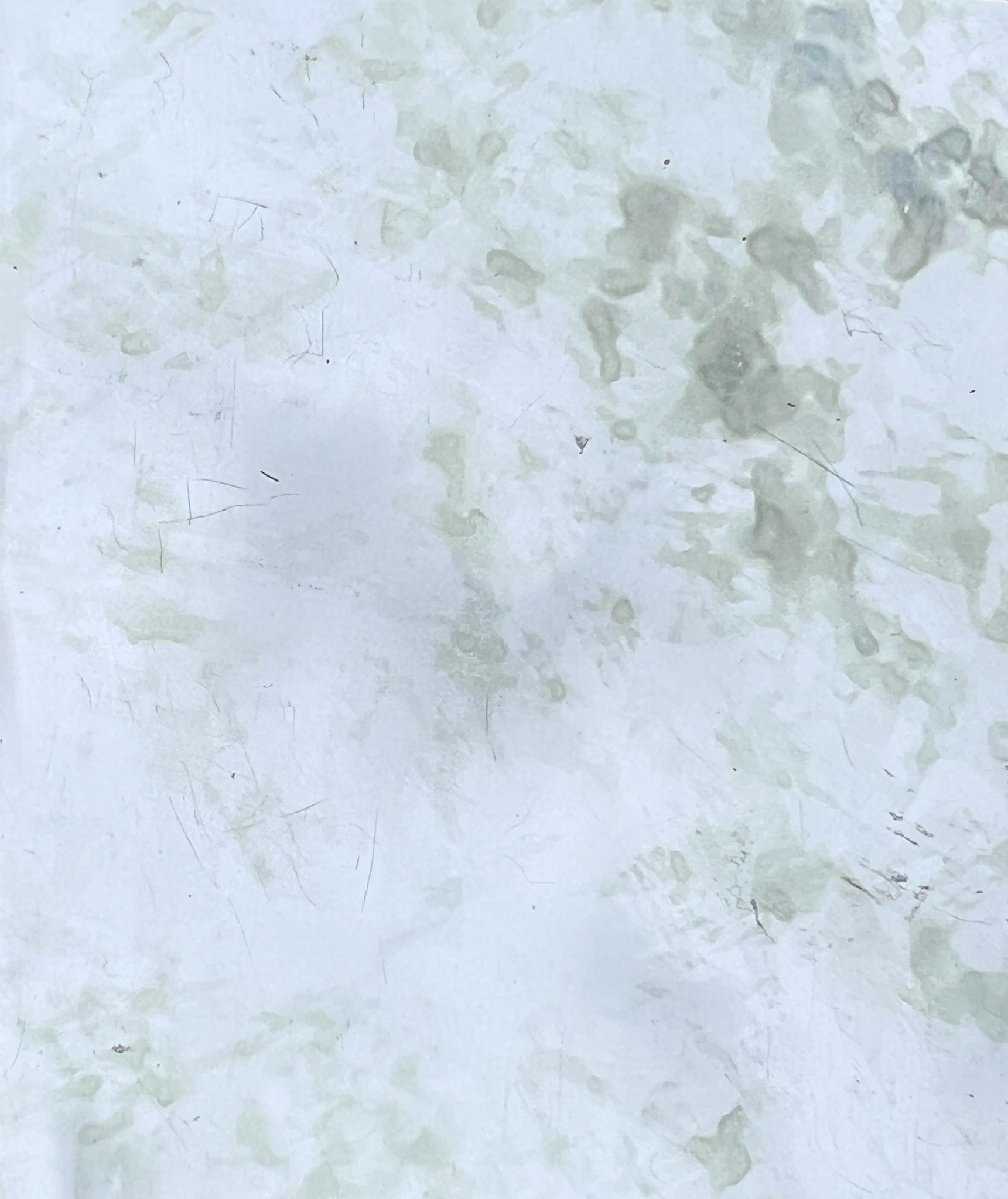 Dance Floor Colors  – Image 86