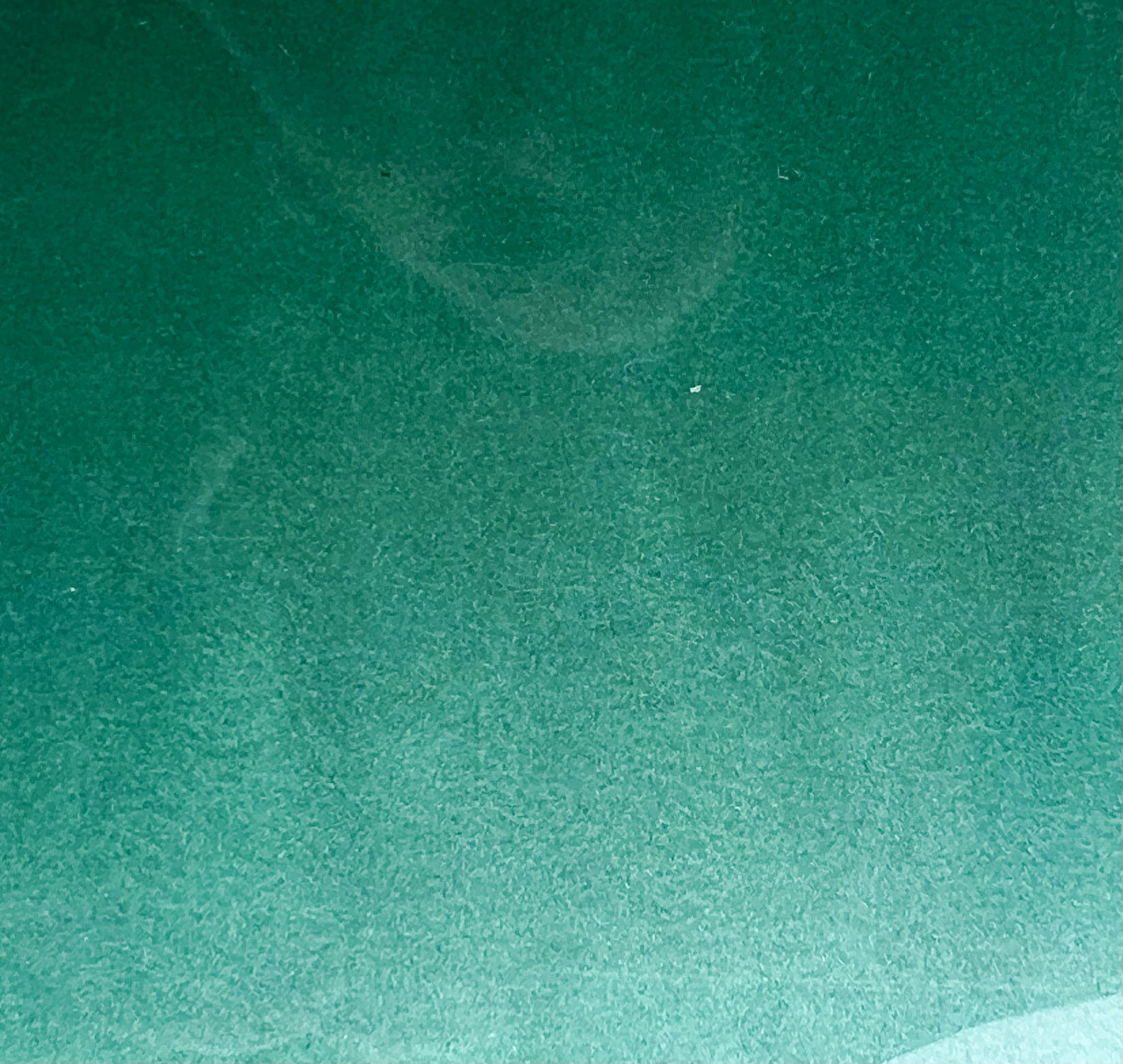Dance Floor Colors  – Image 80