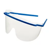 Protective Goggles – Image 1
