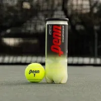 Penn, Pelotas de Tenis Championship ultrarresistentes – Image 1