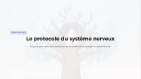 Le Protocole du Système Nerveux – Image 2