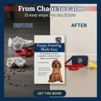 Puppy Training Made Easy: 15 Easy Steps to have complete control of your dog in any situation  – Image 2