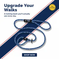 6 Ft Loop Leash / Lead – Image 3