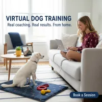 Blue Line K-9 Online Puppy Jump Start – Image 1