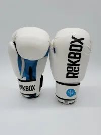 Premium Boxing Gloves - Display Model – Image 1