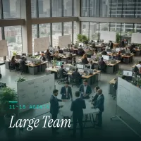 Large Team Plan (11-15 agents) – Image 1