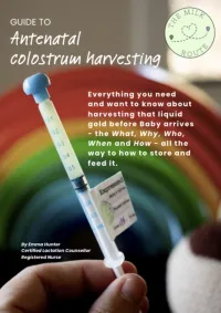 Guide to Antenatal Colostrum Harvesting – Image 2
