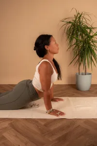 Intro to Yoga - 4 Week Beginners Course  – Image 1