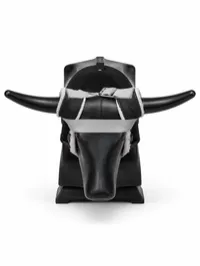JakeSteer With Neck Cape – Image 3