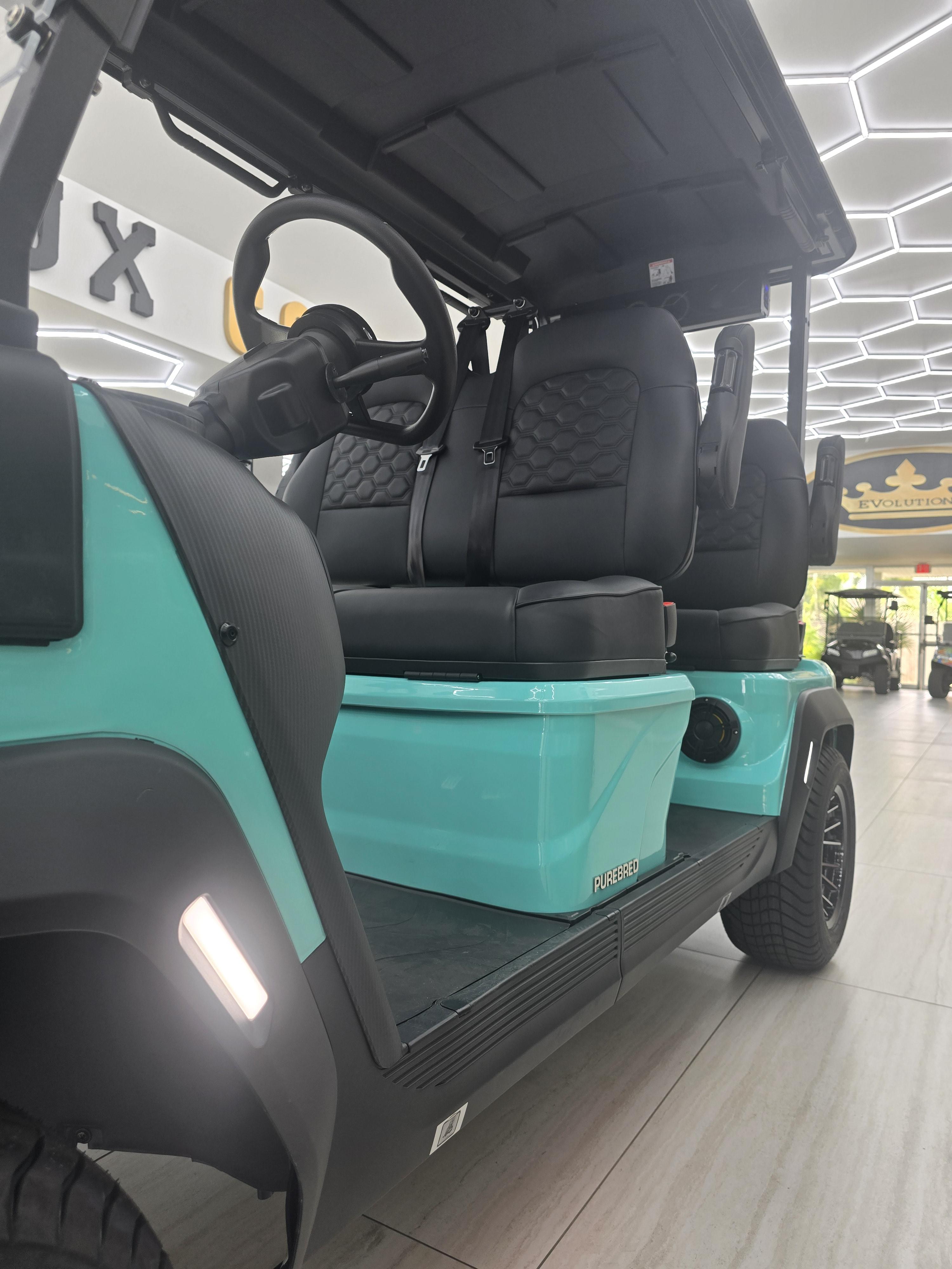 2026 Boca EV Purebred 4 SF Aqua #5049 – Image 2