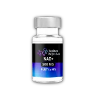 NAD+ – Image 1