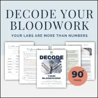 Decode Your Bloodwork Guide- Digital Version – Image 1
