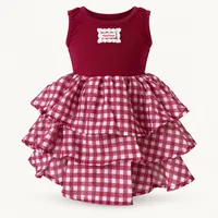 Burgundy Gingham Tiered Dress – Image 1