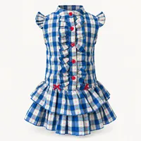 Blue Gingham Ruffle Dress – Image 1