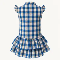 Blue Gingham Ruffle Dress – Image 3