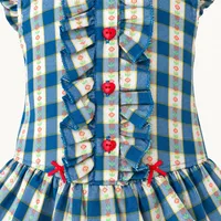 Blue Gingham Ruffle Dress – Image 2