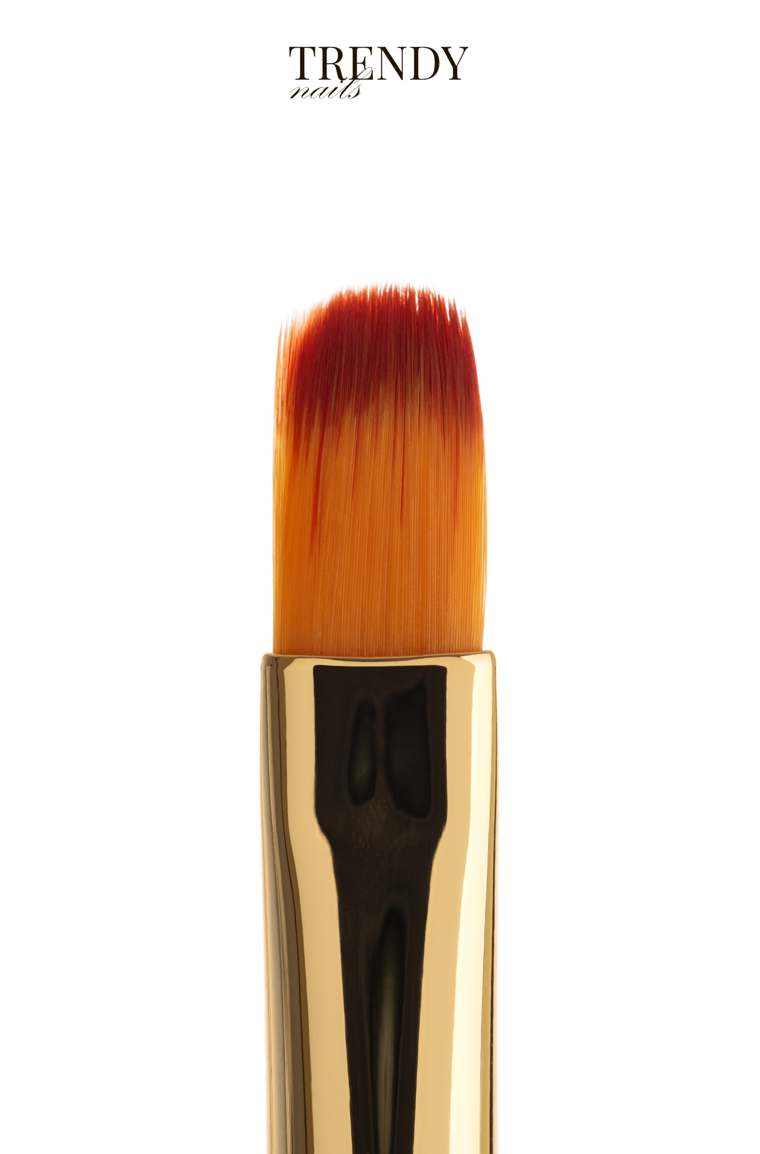 Brush – Image 1