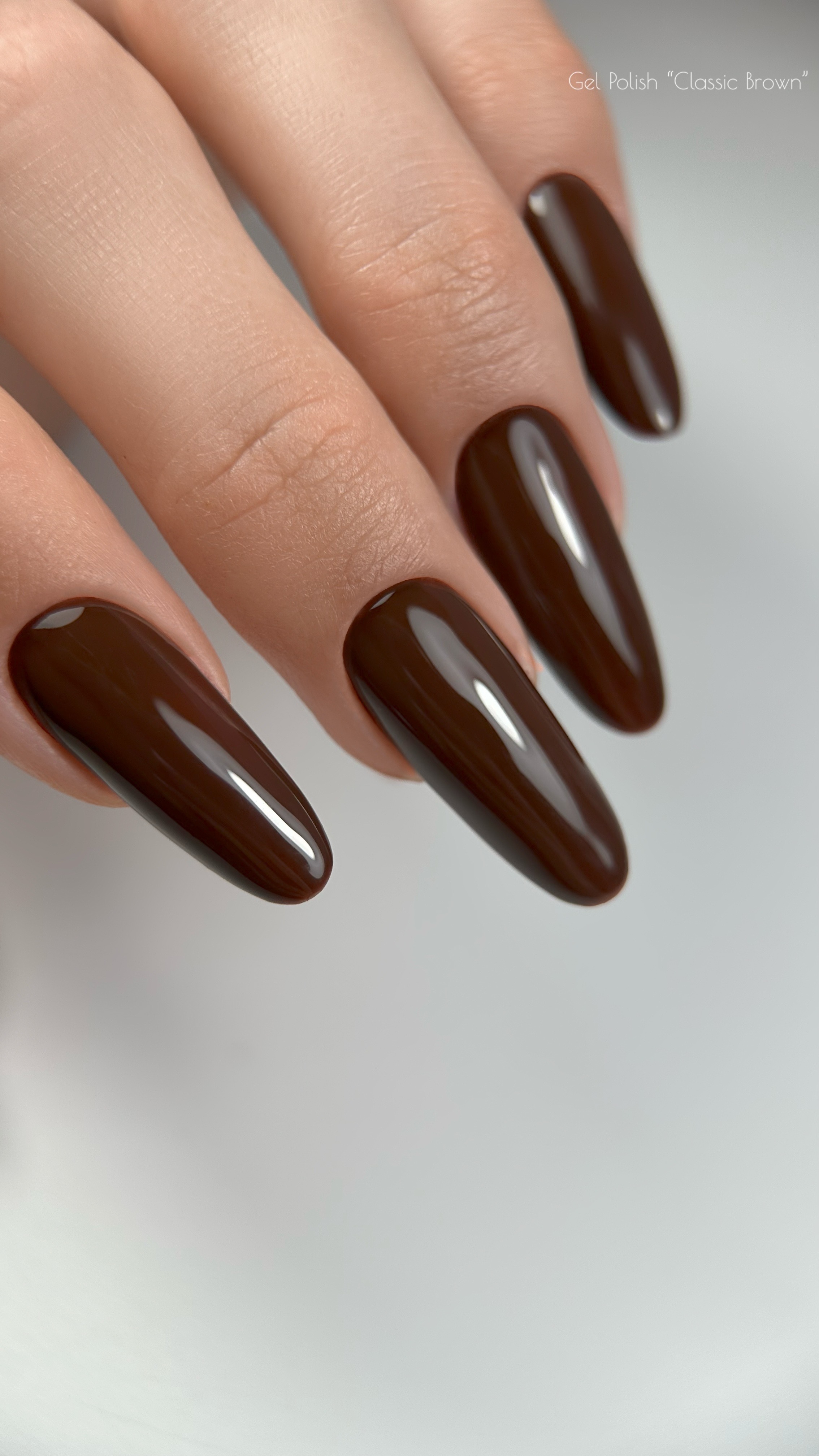 Gel Polish "Classic Brown" – Image 4