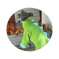 Rawrsome Fleece PJs – Image 1