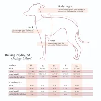 Luxury Italian Greyhound Outfit – Image 2
