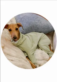Solid Knit PJs – Image 1