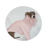 Luxury Italian Greyhound Outfit – Image 1
