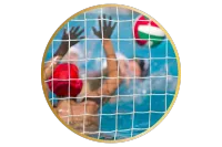 Donation Tier-Supporter – Image 1