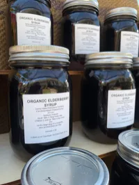 Organic Elderberry Syrup 1 pint – Image 1