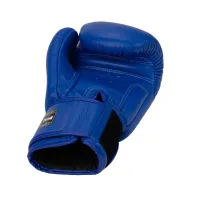 Twins Special Blue Boxing Gloves – Image 2