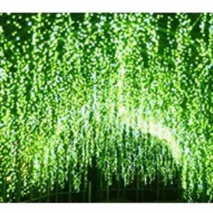 Ice bar String / 冰条灯下垂 – Image 12