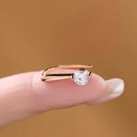 Sparkling Round Brilliant Moissanite Earhook Earrings – Image 5