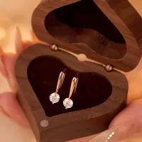 Sparkling Round Brilliant Moissanite Earhook Earrings – Image 4