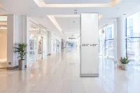 Retractable Banner Stands – Image 3
