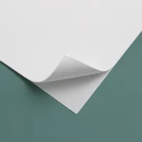 Window Decals – Image 4