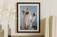 Framed Prints – Image 1