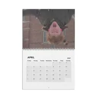2027 A Christmas Story Family™ Collector Calendar – Image 5