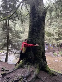 Dinamos Hike and Views – Image 4