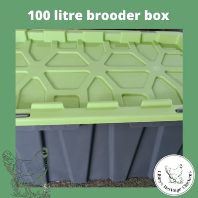 100 Litre Brooder Box -  NO AUST POST DELIVERY – Image 2